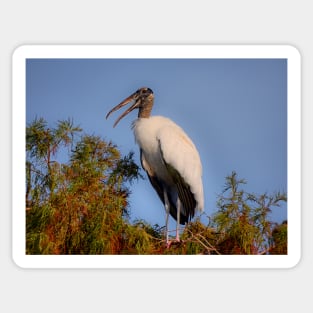 Speaking Stork Sticker